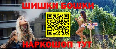 дмт Обь