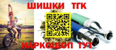 дмт Обь