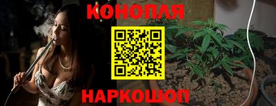дмт Обь