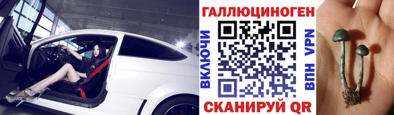 Галлюциногенные грибы MAGIC MUSHROOMS  Великие Луки 