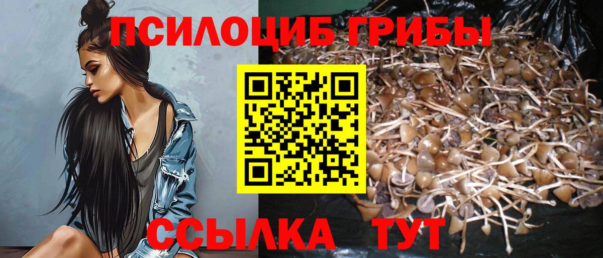 Псилоцибиновые грибы ЛСД Великие Луки